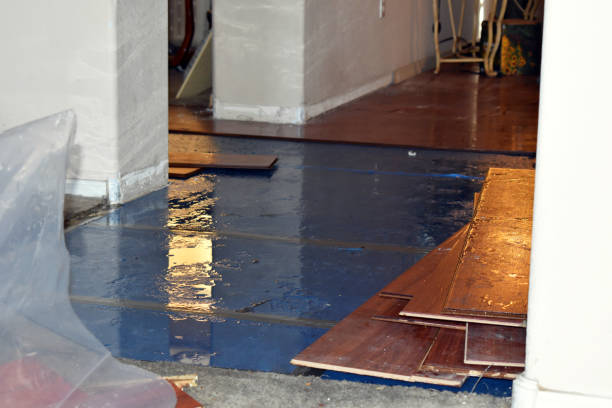 Professional Sewage Cleanup technician working in Frederic, WI